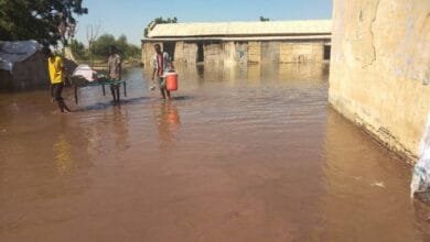 الجزيرة أبا